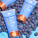 Tree Hut Purifying Blueberry & Turmeric Face Scrub