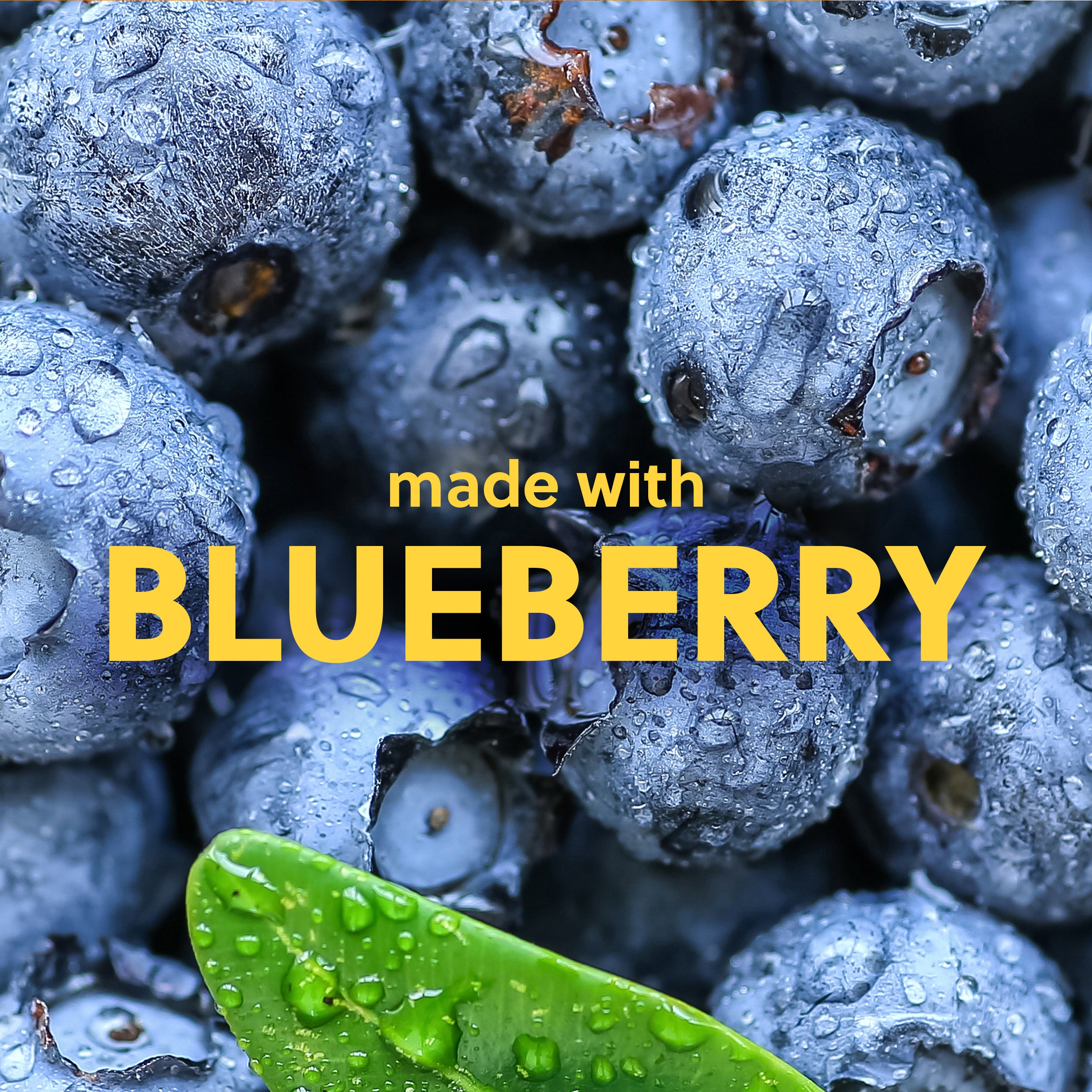 Tree Hut Purifying Blueberry & Turmeric Face Scrub
