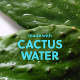 Tree Hut Hydrating Watermelon & Cactus Face Scrub
