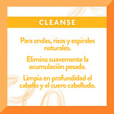 Cantu 13.5oz Sulfate Free Cleansing Cream Shampoo